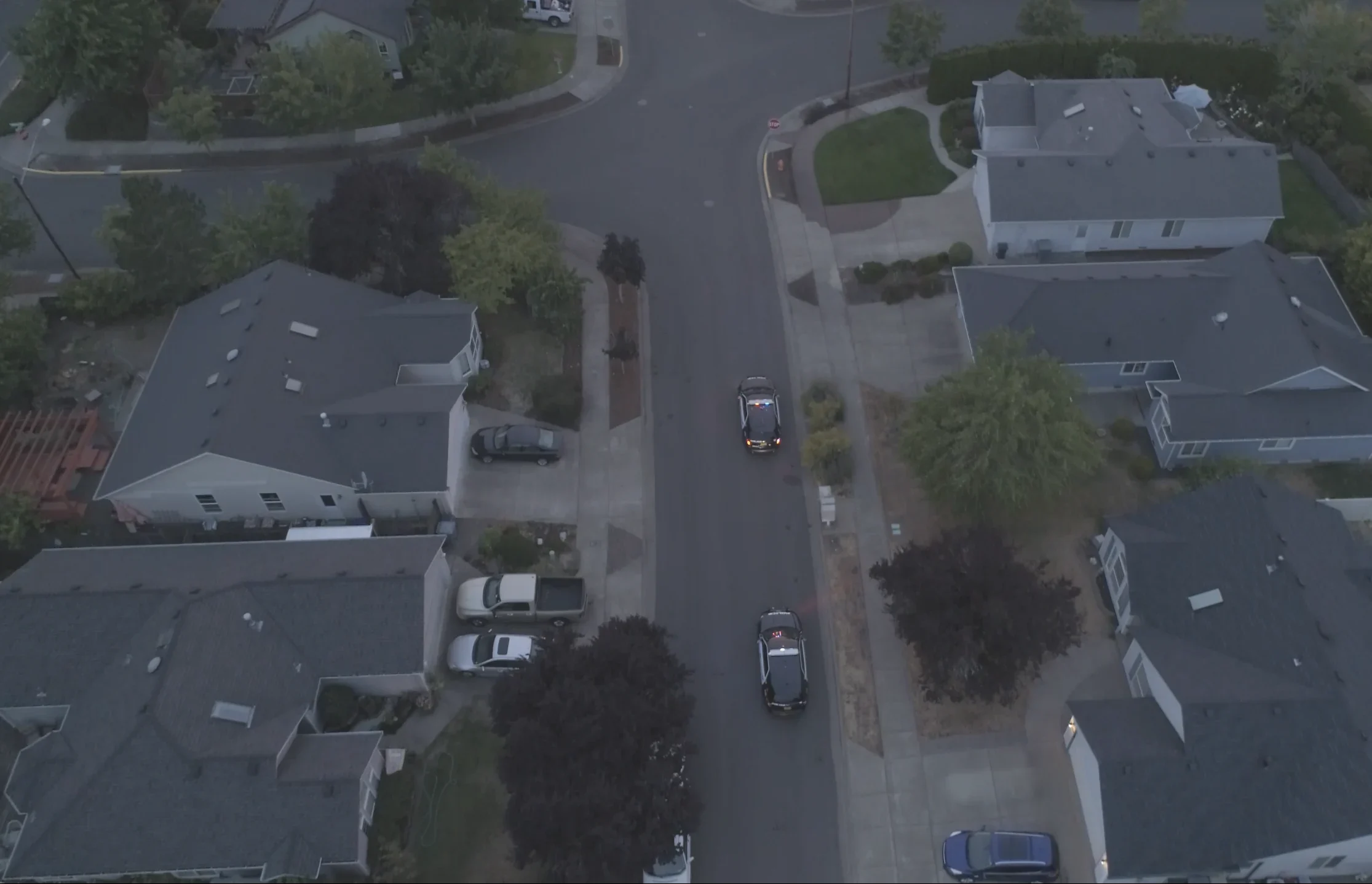 Private Police Neighborhood Patrols